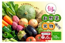 【2ヶ月に1回お届け】【定期便6回】生産者直売所よりお届け！おまかせ旬のお野菜・果物セット！ おすすめ10品以上