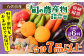 【2ヶ月に1回お届け】【定期便6回】八代市産！旬の農産物詰合せ 復興 福袋 7品以上