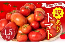 【先行予約】【訳あり】 八代市産 規格外トマト 約1.5kg 熊本県 八代市 特産品 規格外 トマト 野菜 やさい 新鮮 とまと 【2026年4月中旬より順次発送】