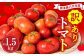 【訳あり】熊本県八代市産 規格外トマト 約1.5kg トマト 野菜