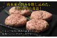 ヘルシーなのに旨みの詰まった馬肉ハンバーグステーキです！