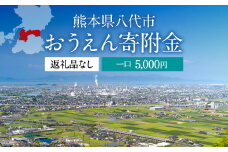 八代市 への寄付（返礼品はありません）応援 寄付 5,000円