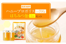 ハニープロポリス 350g 2本 蜂蜜あめ 144g 1袋 セット 
