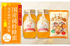 国産 純粋れんげ蜂蜜 1kg 百花蜂蜜 1kg 蜂蜜あめ 1袋