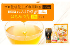 プロ仕様仕上げ専用蜂蜜 れんげ蜂蜜 蜂蜜あめ 各10本づつ