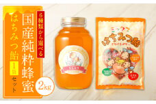 国産 純粋 れんげ蜂蜜 2kg 蜂蜜あめ 1袋 はちみつ