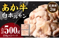 【定期便3回】 あか牛 白ホルモン 500g 250g×2パック