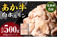 【定期便6回】 あか牛 白ホルモン 500g 250g×2パック