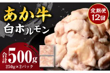 【定期便12回】 あか牛 白ホルモン 500g 250g×2パック