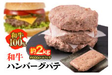 九州産 和牛ハンバーグ パテ 計約2kg（約500g×4パック）