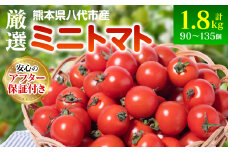 【先行予約】 厳選 ミニトマト 1.8kg トマト 野菜 厳選 やさい サラダ 甘い 【2025年11月上旬より順次発送】