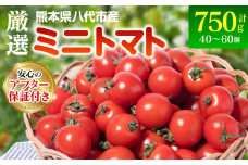 【先行予約】 厳選 ミニトマト 750g トマト 野菜 厳選 やさい サラダ 甘い 【2025年11月上旬より順次発送】