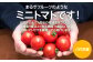 最高糖度11度以上。常に9度以上保証是非一度ご賞味ください。