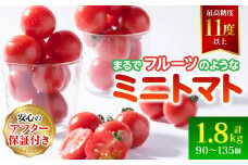 【先行予約】まるで フルーツ の様な ミニトマト 1.8kg トマト 甘い 国産 野菜 やさい サラダ 【2026年1月上旬より順次発送】