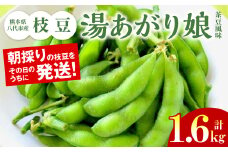 熊本県八代市産枝豆 [湯あがり娘（茶豆風味）] 1.6kg