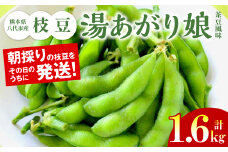 【先行予約】 熊本県八代市産 枝豆 [湯あがり娘（茶豆風味) ] 1.6kg おつまみ お弁当 えだまめ 茶豆 旬 エダマメ 朝採り お手軽 野菜 【2026年6月下旬より順次発送】
