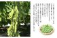ショ糖、果糖、ブドウ糖が他品種の約2倍も含まれていて、香りと味が濃く、一度食べると病みつきになる美味しさです。