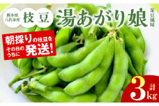 熊本県八代市産枝豆 [湯あがり娘（茶豆風味）] 3kg 