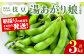 熊本県八代市産枝豆  [湯あがり娘（茶豆風味）]  3kg