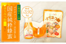 【定期便 年4回】【厳選】ポリチューブ蜂蜜＆詰め替え袋+蜂蜜あめ袋
