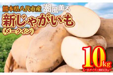 熊本県八代市産 潮風薫る新じゃがいも (メークイン) 10kg 野菜 芋 いも 国産 熊本県 八代市 九州 農作物