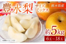 【先行予約】 熊本県産 豊水梨 サイズミックス 約5kg 6玉～18玉 【2025年8月下旬より順次発送】