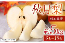 【先行予約】 熊本県産 秋月梨 サイズミックス 約5kg 6玉～18玉 【2025年8月下旬より順次発送】