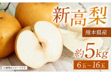 【先行予約】 熊本県産 新高梨 サイズミックス 約5kg 6玉～16玉 【2025年9月上旬より順次発送】