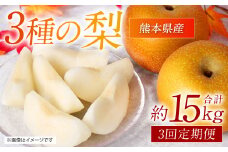 【先行予約】 【定期便3回】 熊本県産 3種の梨の定期便 約5kg ×3回 (計15kg) 【2025年8月下旬より順次発送】