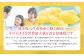熊本県八代市特産の晩白柚は、その大きさが世界最大級を誇る柑橘類です。