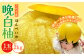 大きさに驚く、八代で愛情を込めて育てた晩白柚。香りが高く果汁も多い品種です。