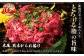 とろける脂の旨味をご賞味ください。