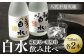 良質で豊富な「球磨川水系の伏流水」を使用した、蔵酵母と華酵母のセットです。