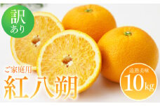 【先行予約】 ＜訳あり＞ 紅八朔 ご家庭用 約10kg 柑橘 かんきつ 果物 くだもの フルーツ べにはっさく 熊本県 八代市 【2026年2月上旬より順次発送】