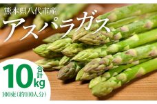 熊本県八代市産 アスパラガス 10kg やさい 新鮮 アスパラ