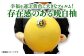 幸福を運ぶ黄色に大きなフォルム！存在感のある晩白柚！