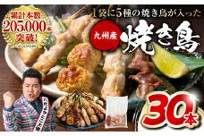 やきとり5種 30本セット お試しサイズ！【順次発送】 焼き鳥 焼鳥 国産 鶏 鶏肉 とり肉 串 九州産 冷凍 小分け ねぎま むね とろ もも 砂肝 つくね BBQ パーティー おつまみ セット バラエティーパック