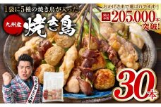 やきとり5種 30本セット お試しサイズ！ 焼き鳥 焼鳥 国産 鶏 鶏肉 とり肉 串 九州産 冷凍 小分け ねぎま むね とろ もも 砂肝 つくね BBQ パーティー おつまみ セット バラエティーパック 【順次発送】