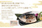酒粕に加える事で魚がよりふっくらと焼き上がり、ツヤテリも綺麗です。
