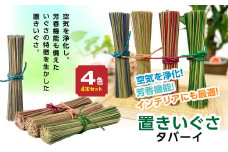 置きいぐさ（タバーイ）4本セット(赤、青、緑、ピンク)