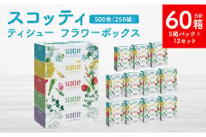 【スコッティ】 ティシュー フラワーボックス 250組 5箱パック×12 合計60箱 ティッシュ 日用品 生活必需品
