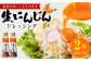 素材のおいしさそのまま！生にんじんドレッシング(250ml×2本)