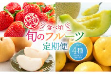 【定期便 年4回】食べ頃！旬のフルーツ定期便(いちご・メロン・梨・チャンドラポメロ)