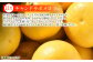 【11月】鮮やかなピンク色の果肉、さわやかな酸味とやさしい甘さ、プチプチとした食感と見て食べておいしいフルーツです。
