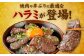 焼肉や丼ぶりに最適なハラミが登場！