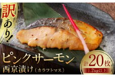 訳あり ピンクサーモン（カラフトマス）西京漬け 1.2kg以上 たっぷり20枚