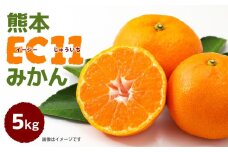 【先行予約】八代市東陽産山本さん家の「熊本EC11みかん」（イーシーじゅういち）5kg ミカン 柑橘類 果物 くだもの 青果 【2025年11月上旬より順次発送】