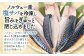 ノルウェー産塩サバを冷凍し、旨みをぎゅっと閉じ込めました。