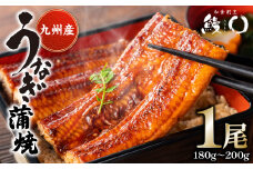 鰻丸(うなまる) 九州産 鰻 蒲焼き 1尾 うなぎ ウナギ