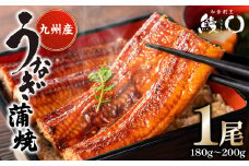 鰻丸(うなまる) 九州産 鰻 蒲焼き 1尾 うなぎ ウナギ 丑の日 秘伝タレ 無頭 うな丼 うな重 ひつまぶし